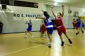 Basket 443015